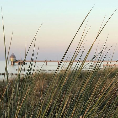Ferienhaus Strandoase Zingst Zewnętrze zdjęcie