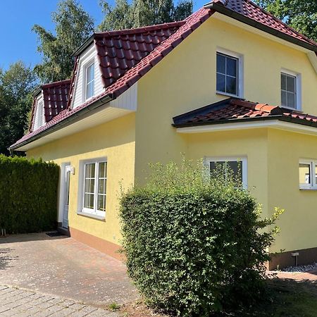 Ferienhaus Strandoase Zingst Zewnętrze zdjęcie